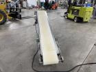 Titan Industries Incline Conveyor